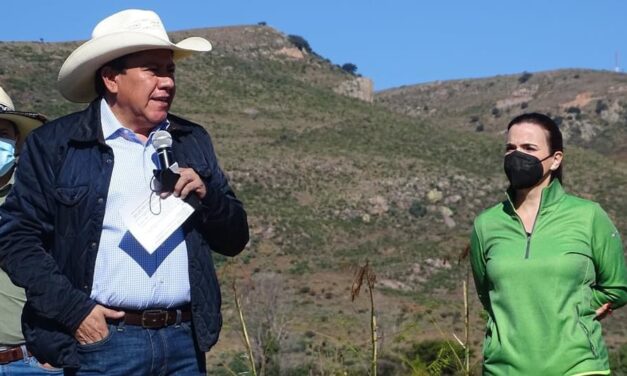 Llama Gobernador David Monreal a implementar una campaña permanente de reforestación en Zacatecas